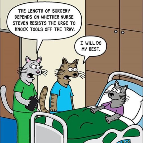 ZARA Burgundy Red Sequin Pull On Shorts L - Picture 6 of 7